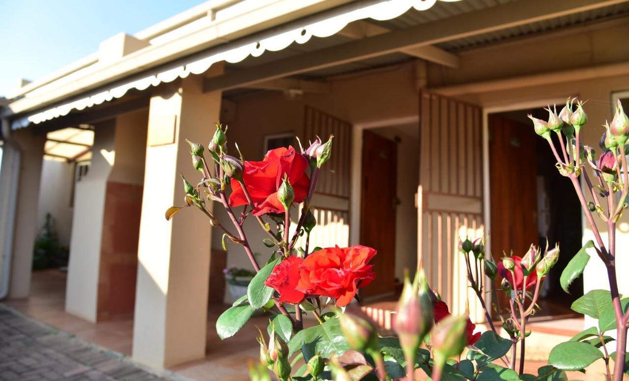 דלסטרום Villa Moria Peace Cottage מראה חיצוני תמונה